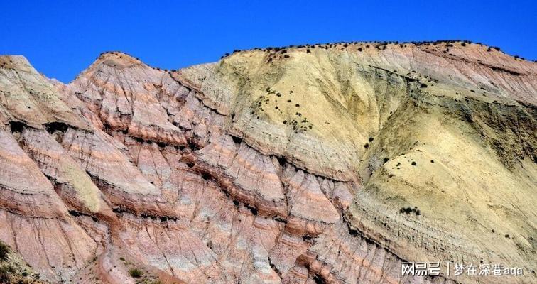 福克斯谈外界批评：人们又没有我的电话号码 这无关紧要