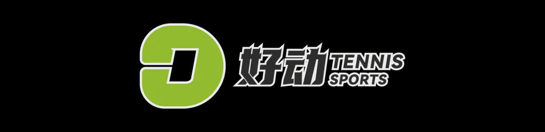 好博体育德容：来自荷兰国内的批评并不会动摇我们的信心